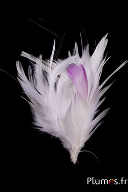 Plumet coq -  hauteur 15 cm - blanc-lilas